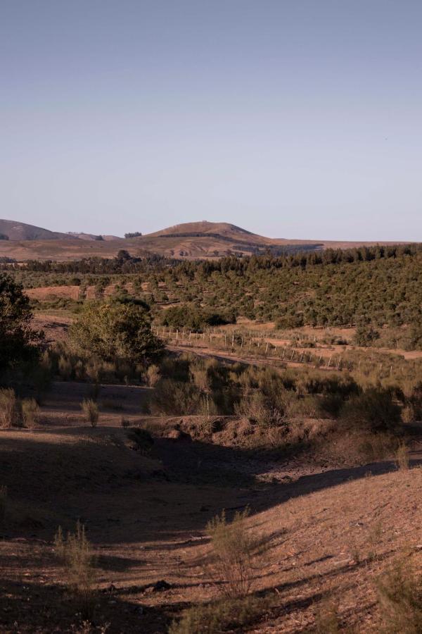 Posada La Serena ミナス エクステリア 写真